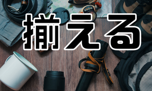 揃える